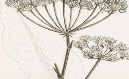 Lettre information 2024